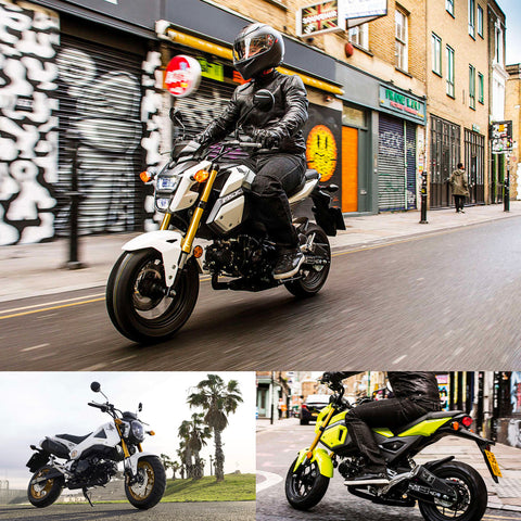Honda MSX125 - Grom Bike with Attitude