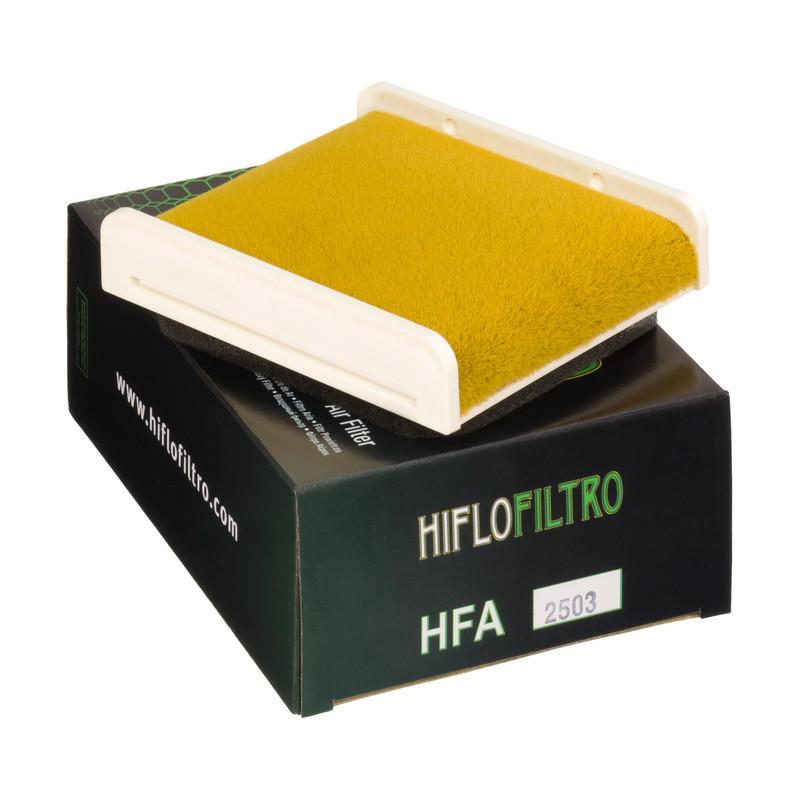 Hiflo Filtro HFA2503 OE Replacement Air Filter