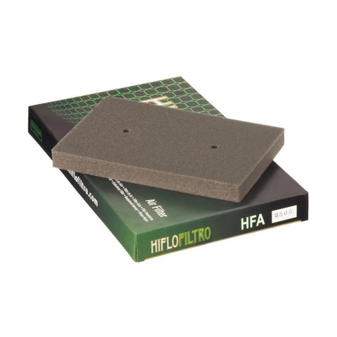 Hiflo Filtro HFA2505 OE Replacement Air Filter