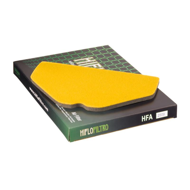 Hiflo Filtro HFA2909 OE Replacement Air Filter