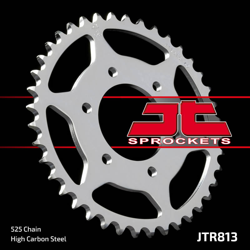 JTR813 Rear Drive Motorcycle Sprocket 39 Teeth (JTR 813.39)